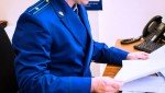 По требованию природоохранного прокурора в Любытинском лесничестве будет проведено лесовосстановление